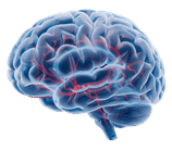 EEG Telecardio
