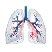 Espirometria Telecardio